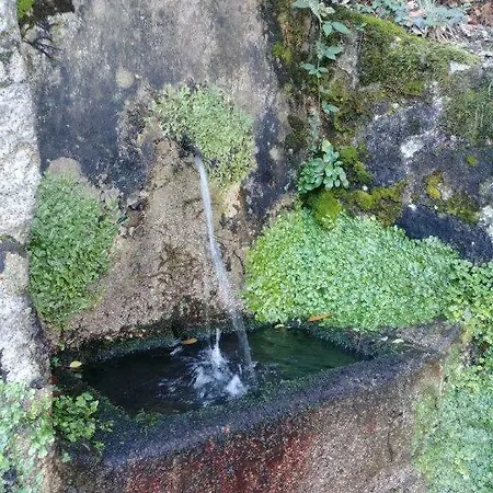 Aquilone Appartamento Mergozzo