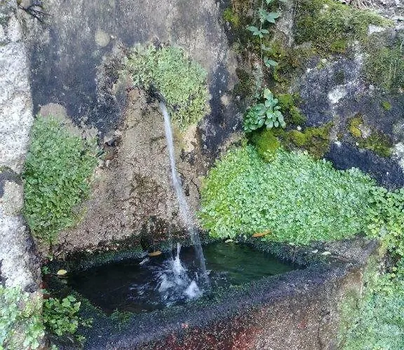 Aquilone 아파트 메르고초