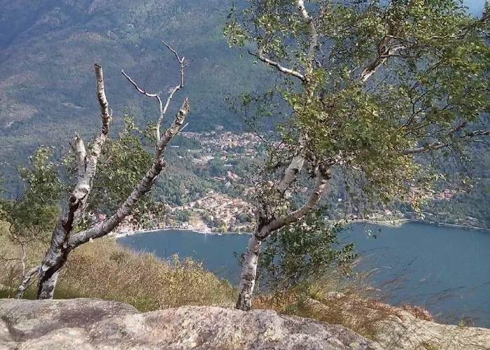 Aquilone Lejlighed *